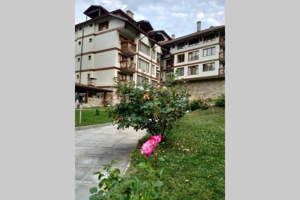 Large Gondola Apartment - Center, Neon Μπάνσκο Εξωτερικό φωτογραφία